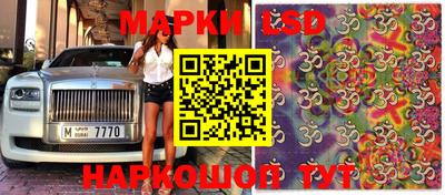 мяу мяу мука Нягань
